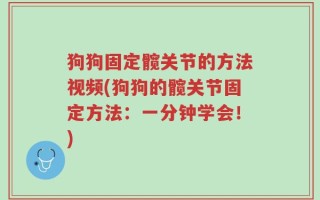 狗狗固定髋关节的方法视频(狗狗的髋关节固定方法：一分钟学会！)