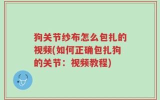 狗关节纱布怎么包扎的视频(如何正确包扎狗的关节：视频教程)