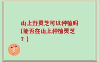 山上野灵芝可以种植吗(能否在山上种植灵芝？)