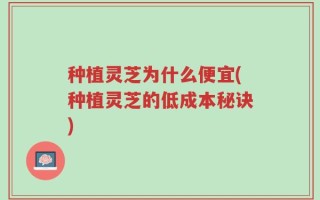 种植灵芝为什么便宜(种植灵芝的低成本秘诀)