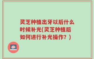 灵芝种植出牙以后什么时候补光(灵芝种植后如何进行补光操作？)