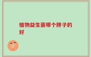 植物益生菌哪个牌子的好