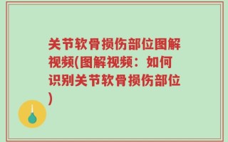关节软骨损伤部位图解视频(图解视频：如何识别关节软骨损伤部位)