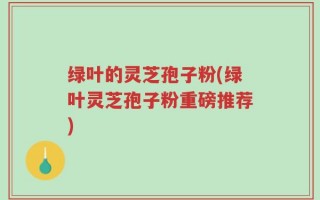 绿叶的灵芝孢子粉(绿叶灵芝孢子粉重磅推荐)