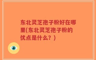 东北灵芝孢子粉好在哪里(东北灵芝孢子粉的优点是什么？)