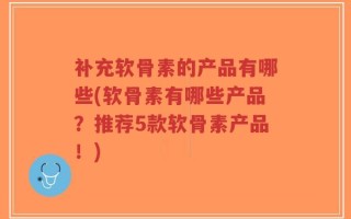补充软骨素的产品有哪些(软骨素有哪些产品？推荐5款软骨素产品！)