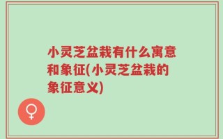 小灵芝盆栽有什么寓意和象征(小灵芝盆栽的象征意义)