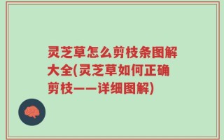 灵芝草怎么剪枝条图解大全(灵芝草如何正确剪枝——详细图解)