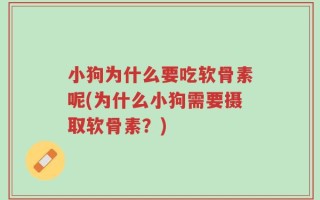 小狗为什么要吃软骨素呢(为什么小狗需要摄取软骨素？)