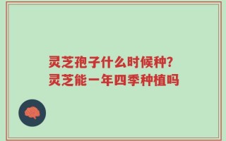 灵芝孢子什么时候种？灵芝能一年四季种植吗