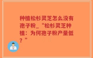 种植松杉灵芝怎么没有孢子粉_“松杉灵芝种植：为何孢子粉产量低？”