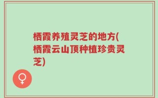 栖霞养殖灵芝的地方(栖霞云山顶种植珍贵灵芝)