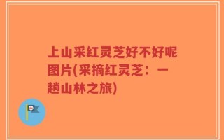 上山采红灵芝好不好呢图片(采摘红灵芝：一趟山林之旅)