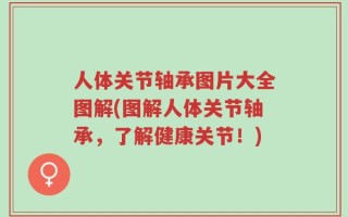 人体关节轴承图片大全图解(图解人体关节轴承，了解健康关节！)