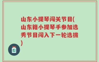 山东小提琴闯关节目(山东籍小提琴手参加选秀节目闯入下一轮选拔)