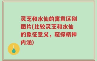 灵芝和水仙的寓意区别图片(比较灵芝和水仙的象征意义，窥探精神内涵)