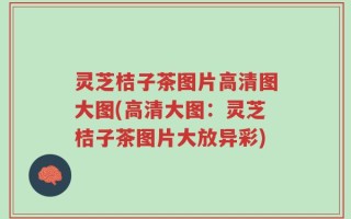 灵芝桔子茶图片高清图大图(高清大图：灵芝桔子茶图片大放异彩)