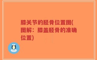 膝关节的胫骨位置图(图解：膝盖胫骨的准确位置)