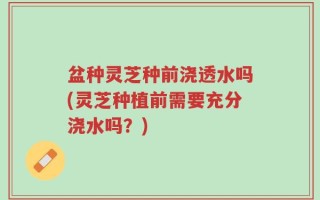 盆种灵芝种前浇透水吗(灵芝种植前需要充分浇水吗？)