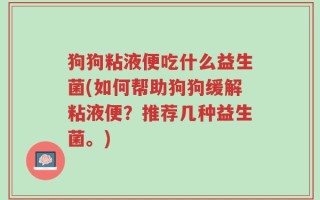 狗狗粘液便吃什么益生菌(如何帮助狗狗缓解粘液便？推荐几种益生菌。)