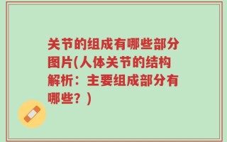 关节的组成有哪些部分图片(人体关节的结构解析：主要组成部分有哪些？)