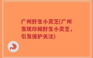 广州野生小灵芝(广州发现珍稀野生小灵芝，引发保护关注)