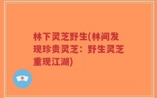 林下灵芝野生(林间发现珍贵灵芝：野生灵芝重现江湖)