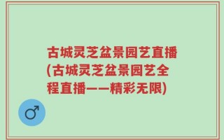 古城灵芝盆景园艺直播(古城灵芝盆景园艺全程直播——精彩无限)