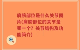 肩膀部位是什么关节图片(肩膀部位的关节是哪一个？关节结构及功能简介)