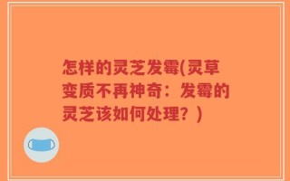 怎样的灵芝发霉(灵草变质不再神奇：发霉的灵芝该如何处理？)