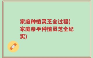 家庭种植灵芝全过程(家庭亲手种植灵芝全纪实)