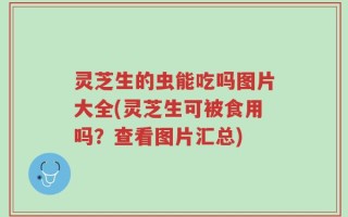 灵芝生的虫能吃吗图片大全(灵芝生可被食用吗？查看图片汇总)