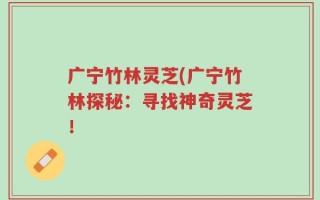 广宁竹林灵芝(广宁竹林探秘：寻找神奇灵芝！