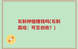 石斛种植赚钱吗(石斛栽培：可否创收？)