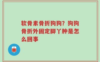软骨素骨折狗狗？狗狗骨折外固定脚丫肿是怎么回事