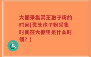 大棚采集灵芝孢子粉的时间(灵芝孢子粉采集时间在大棚里是什么时候？)