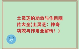 土灵芝的功效与作用图片大全(土灵芝：神奇功效与作用全解析！)