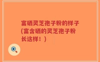 富硒灵芝孢子粉的样子(富含硒的灵芝孢子粉长这样！)