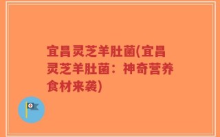 宜昌灵芝羊肚菌(宜昌灵芝羊肚菌：神奇营养食材来袭)