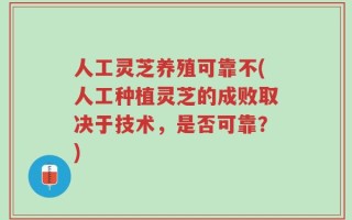 人工灵芝养殖可靠不(人工种植灵芝的成败取决于技术，是否可靠？)