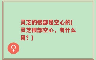 灵芝的根部是空心的(灵芝根部空心，有什么用？)