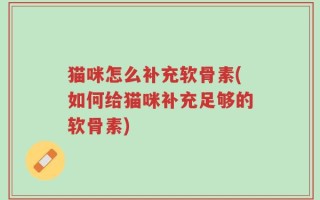 猫咪怎么补充软骨素(如何给猫咪补充足够的软骨素)