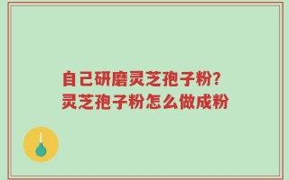 自己研磨灵芝孢子粉？灵芝孢子粉怎么做成粉