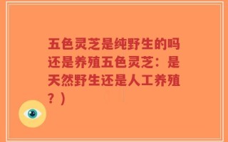 五色灵芝是纯野生的吗还是养殖五色灵芝：是天然野生还是人工养殖？)