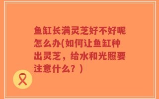 鱼缸长满灵芝好不好呢怎么办(如何让鱼缸种出灵芝，给水和光照要注意什么？)