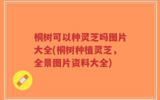 桐树可以种灵芝吗图片大全(桐树种植灵芝，全景图片资料大全)