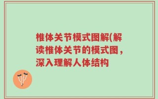 椎体关节模式图解(解读椎体关节的模式图，深入理解人体结构