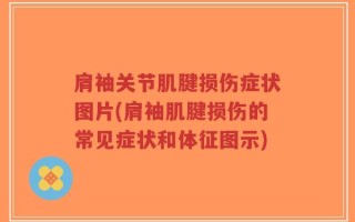 肩袖关节肌腱损伤症状图片(肩袖肌腱损伤的常见症状和体征图示)