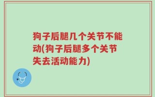狗子后腿几个关节不能动(狗子后腿多个关节失去活动能力)