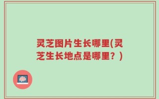 灵芝图片生长哪里(灵芝生长地点是哪里？)
